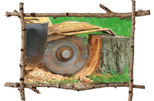 Stump Grinding Services