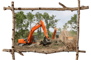 Malvern Tree Cutting